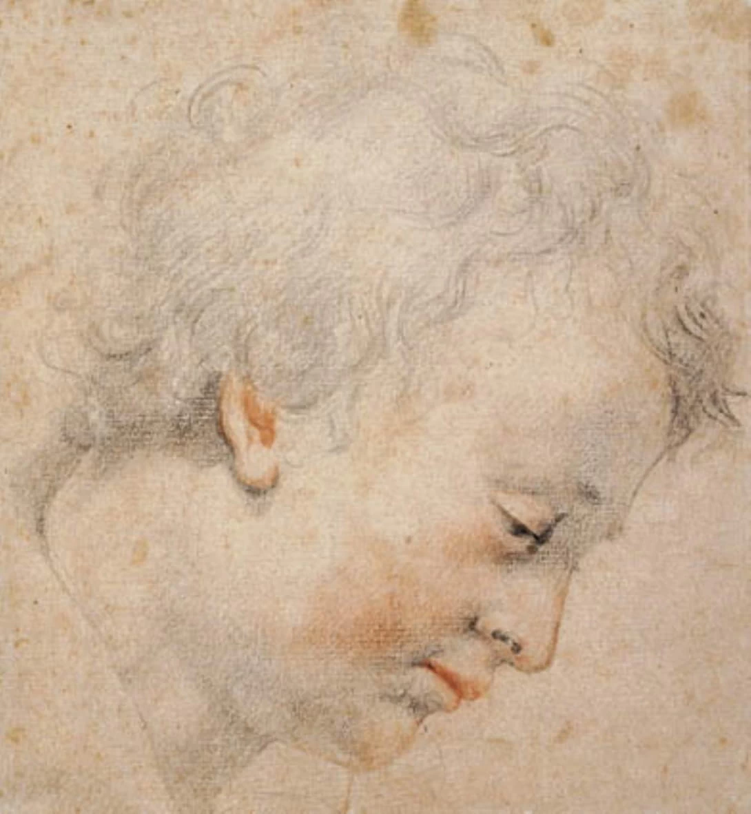 Testa di giovane di profilo a destra - Statens Museum for Kunst